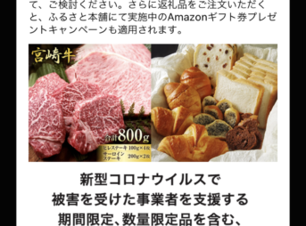 期間限定・数量限定のふるさと納税返礼品の紹介