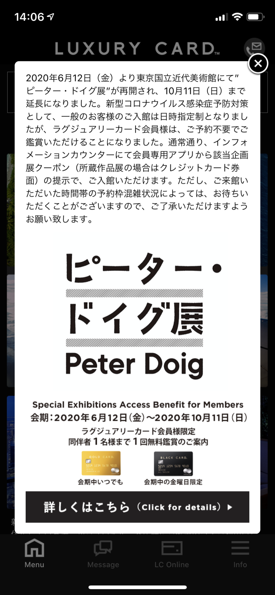 東京国立近代美術館のピーター・ドイグ展 (4)